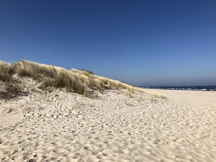 Strand von Trassenheide