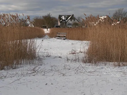 Blick vom Bodden auf Lowkas Haus