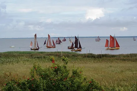 Beobachtung der Zeesbootregatter auf dem Bodden von den Ferienwohnungen aus  