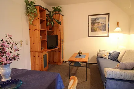 Wohn- und Schlafzimmer, die Couch ist mit wenigen Handgriffen zum Doppelbett (Breite 1,40m) umfunktioniert  