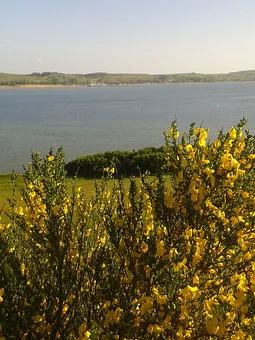 Blick vom Schafsberg auf die Zicker Berge