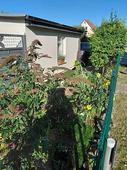 Ansicht vom Parkplatz der fewo