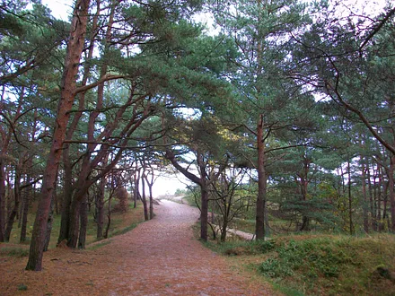 Verschiedene Wege führen ans Meer