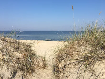 Blick auf den Strand 