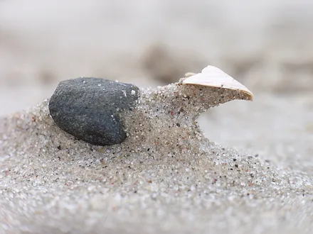 Beobachtung am Strand, vom Wind geformt.