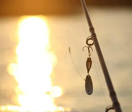 Angeln direkt vor der Haustür