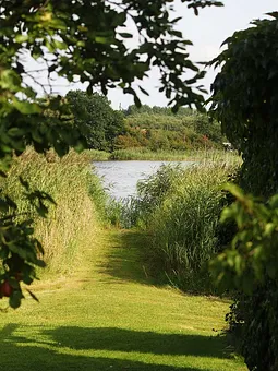 Aussicht Richtung Wasser
