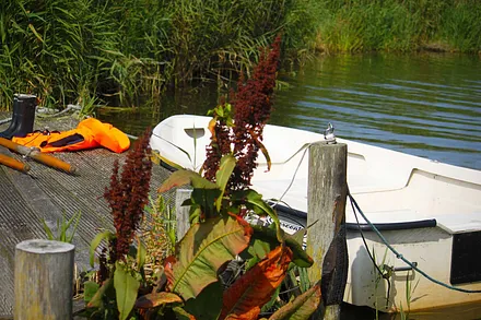 Wasser am Grundstück