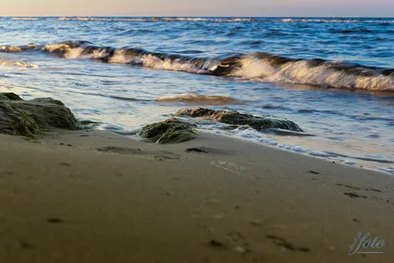 Badespaß in der Ostsee