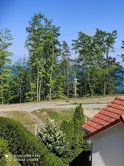Blick auf den Hochufer-Wanderweg hinter dem Haus vom Balkon aus