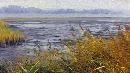 Bodden an der Schaabe bei Glowe (vom Vermieter gemalt)