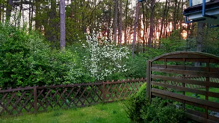 Sonnenaufgang im Mai von der Wohnung aus gesehen
