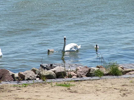 Spaziergang zum Beek