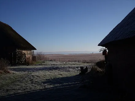 Ein Morgen am Saaler Bodden im Winter