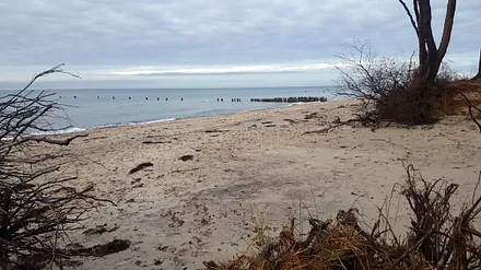 Nach Südwesten finden sich naturbelassene Strände und große Waldgebiete.