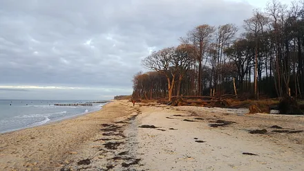 Strandwanderung im Herbst.