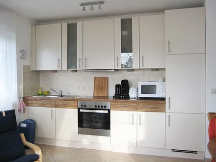 Die moderne Küchenzeile mit Geschirrspüler, Herd, Kühlschrank und allem was dazu gehört.