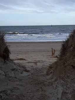 Strandspaziergänge erwünscht? 