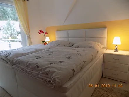 neues Bosspringbett für einen wunderbaren Schlafkomfort und Waldblick