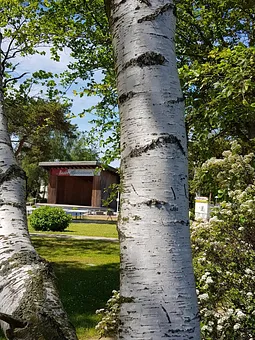 Der Kurpark von Baabe in unmittelbarer Nähe der Ferienresidenz