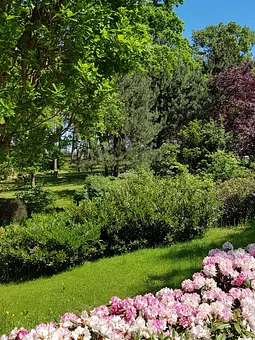 Im Kurpark von Baabe