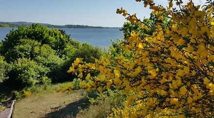 Frühling in Mönchgut