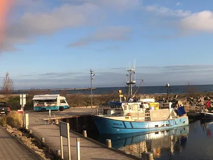 Frischer Fisch direkt vom Kutter im Hafen