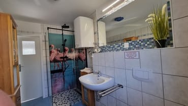 Tageslichtbad mit Dusche