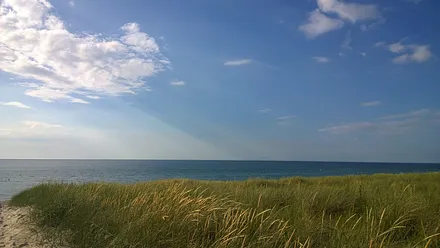 Der Weg zum Strand vorbei an den Dünen