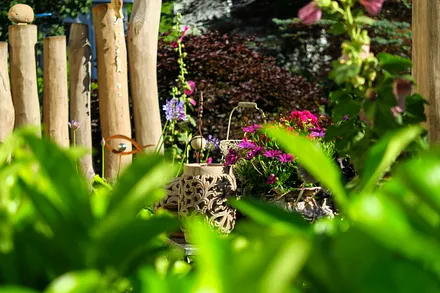 Gartenimpressionen 1