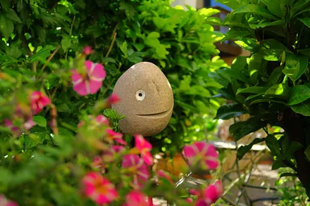 Gartenimpressionen 4