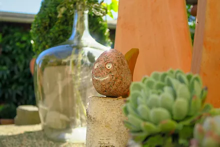 Gartenimpressionen 5