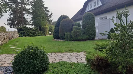 Blick auf das Gaupenfenster zur Wohnung Nr. 2