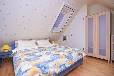 Dachschrägenfenster mit Insektenschutz und Verdunkelung