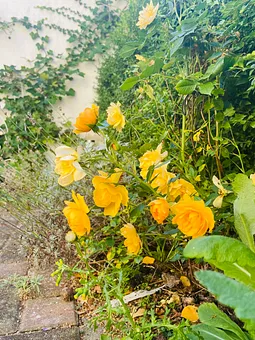 Liebevoll gestaltetes Umfeld