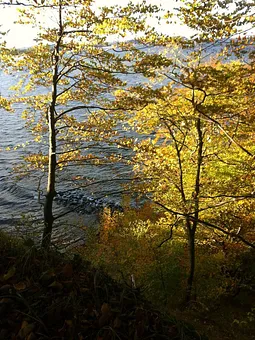wunderschöner Herbst