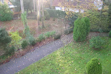 Privatweg hinter dem Haus/Blick vom Balkon