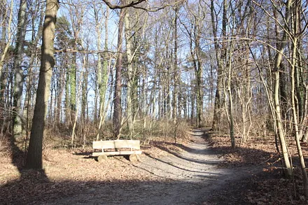 Weg durch den Küstenwald zum Strand