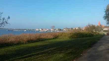 Salzhaff