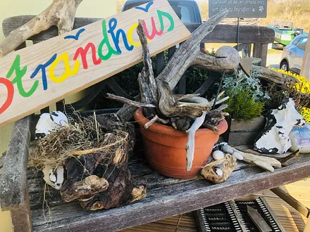 Alles an Deko vom Strand 