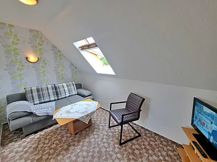 Wohnzimmer mit Schlafcouch und Fernseher