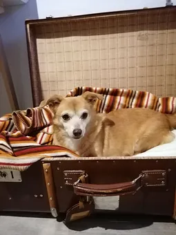 Wie man sieht, lässt es sich bei uns auch gut aus dem Koffer leben!