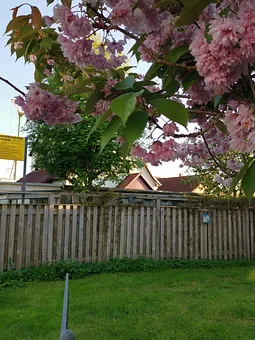 Blick auf den Parkplatz