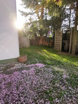 Blick auf die Terrasse Oie Parkplatz  Ferienwohnung Wollin
