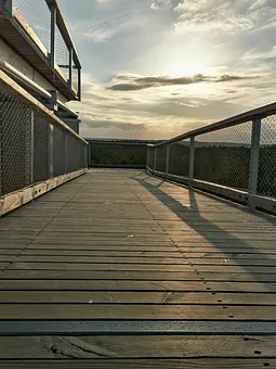 Ausblick vom Baumwipfelpfad Heringsdorf