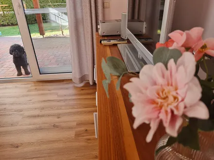 Die kleinen, süßen dürfen auch rein