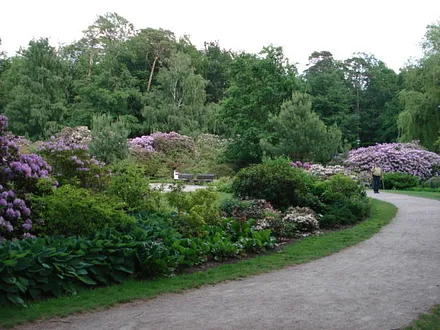 Rhododendronpark