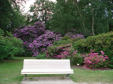 Rhododendronpark