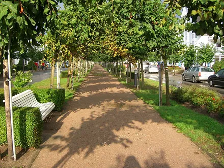 Strandstraße in Baabe