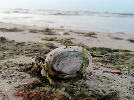 Impressionen von der Ostsee